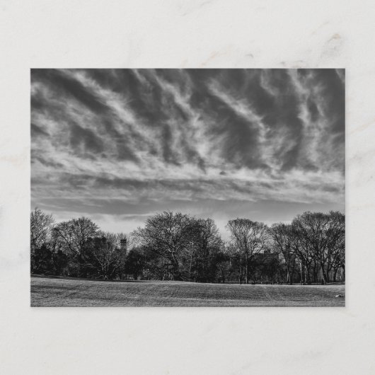 Zwart-wit landschap Foto van Central Park Briefkaart (Voorkant)