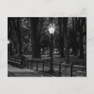 Zwart-wit landschap Foto van Central Park Briefkaart