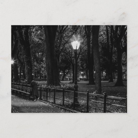 Zwart-wit landschap Foto van Central Park Briefkaart (Voorkant)