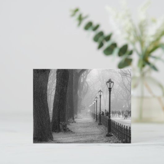 Zwart-wit landschap in Central Park Briefkaart (Staand voorkant)