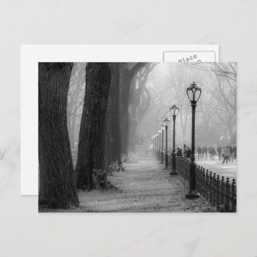 Zwart-wit landschap in Central Park Briefkaart (Voorkant / Achterkant)