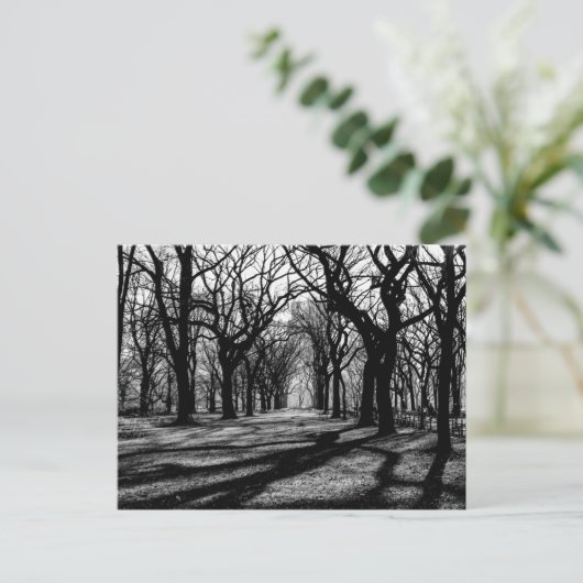 Zwart-wit landschap in Central Park Briefkaart (Staand voorkant)