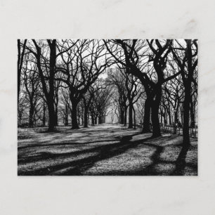 Zwart-wit landschap in Central Park Briefkaart