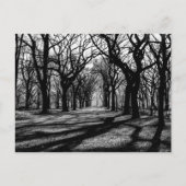 Zwart-wit landschap in Central Park Briefkaart (Voorkant)
