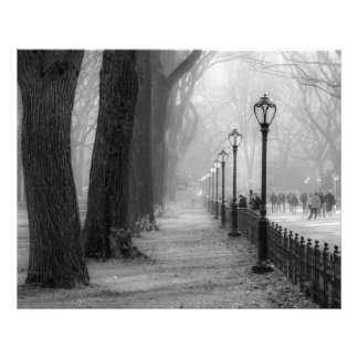 Zwart-wit landschap in Central Park Foto Afdruk