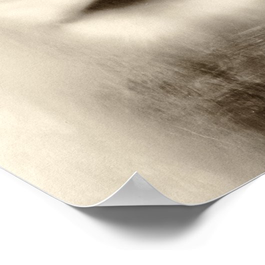 Zwart-wit leeuwwitportret poster (Hoek)