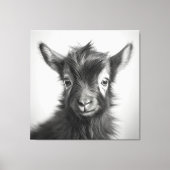 Zwart-wit Leuke Baby geitenfoto Canvas Afdruk (Voorkant)