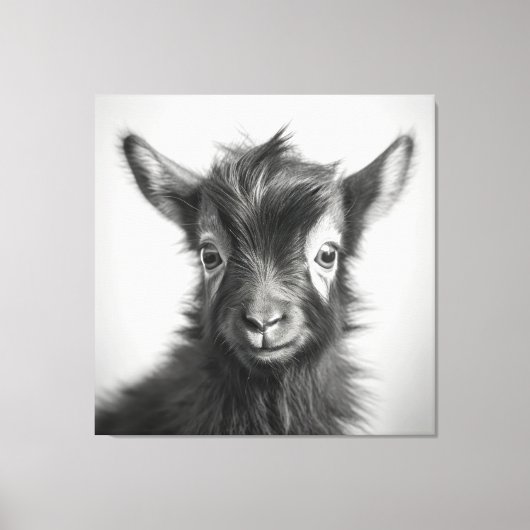 Zwart-wit Leuke Baby geitenfoto Canvas Afdruk (Voorkant)