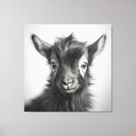 Zwart-wit Leuke Baby geitenfoto Canvas Afdruk