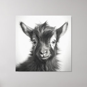 Zwart-wit Leuke Baby geitenfoto Canvas Afdruk