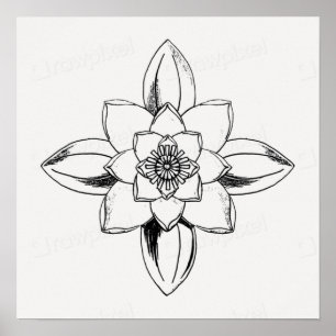 Zwart-wit lijntekening waterlelie bloem poster