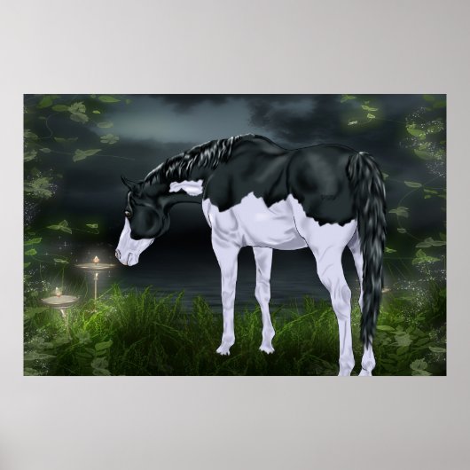 Zwart-wit Lijst Overo Paint Horse Poster (Voorkant)