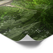 Zwart-wit Lijst Overo Paint Horse Poster (Hoek)