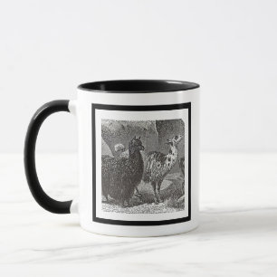 Zwart-wit Llama Alpaca Andes Dierenkunst Mok