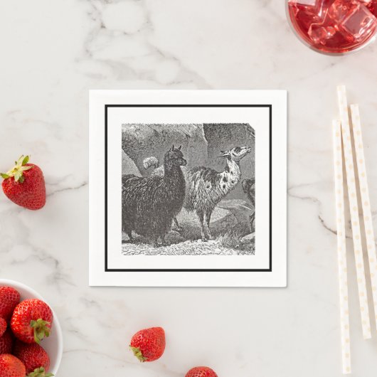 Zwart-wit Llama Alpaca Andes Dierenkunst Servet (Insitu)