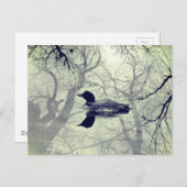 Zwart-wit loon op een meer postkaart (Voorkant / Achterkant)