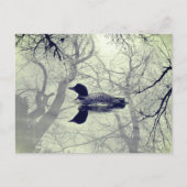 Zwart-wit loon op een meer postkaart (Voorkant)