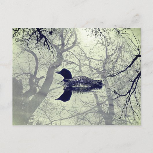 Zwart-wit loon op een meer postkaart (Voorkant)