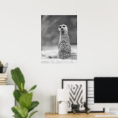 Zwart-wit Meerkat Portrait Wildlife Poster (Thuiskantoor)
