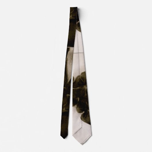  zwart-wit menselijk-breedband-röntgenfoto's stropdas (Achterkant)