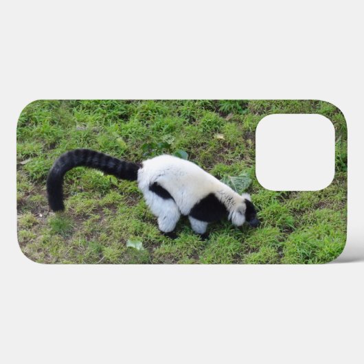Zwart-wit met rode lemur #1 iPhone 13 Pro Hoesje (Achterkant (horizontaal))