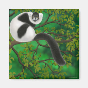 Zwart-wit met rode lemur Magnet