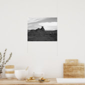 Zwart & Wit Mexicaans Pet Rock Formation 16x20 Poster (Keuken)