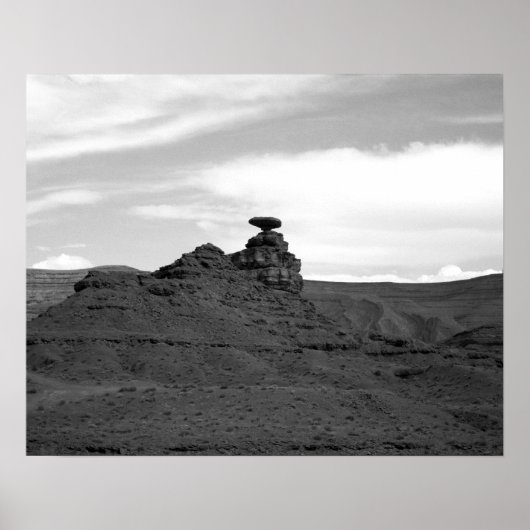 Zwart & Wit Mexicaans Pet Rock Formation 16x20 Poster (Voorkant)