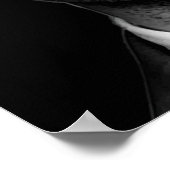 Zwart-wit Mike Ross citaat Poster (Hoek)