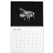 Zwart-wit minimalistische insecten - Bugs 2022 Kalender (Mar 2026)