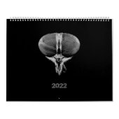 Zwart-wit minimalistische insecten - Bugs 2022 Kalender (Hoes)