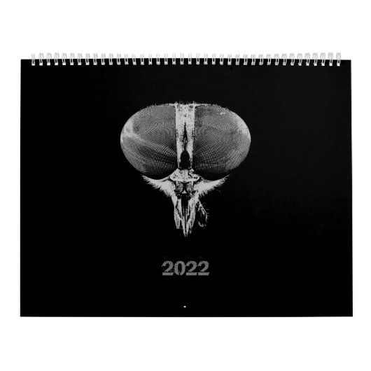 Zwart-wit minimalistische insecten - Bugs 2022 Kalender (Hoes)