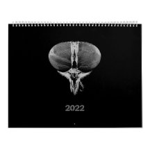 Zwart-wit minimalistische insecten - Bugs 2022