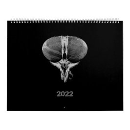 Zwart-wit minimalistische insecten - Bugs 2022 Kalender