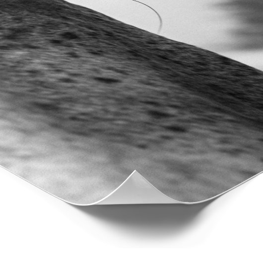 Zwart-wit modern paardenoog poster (Hoek)