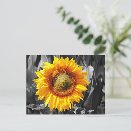 Zwart wit monochroom geel zonnebloem briefkaart (Staand voorkant)