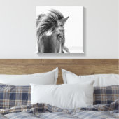 Zwart & Wit Mooie Wild Paard Canval Print 2 (Insitu (Slaapkamer))