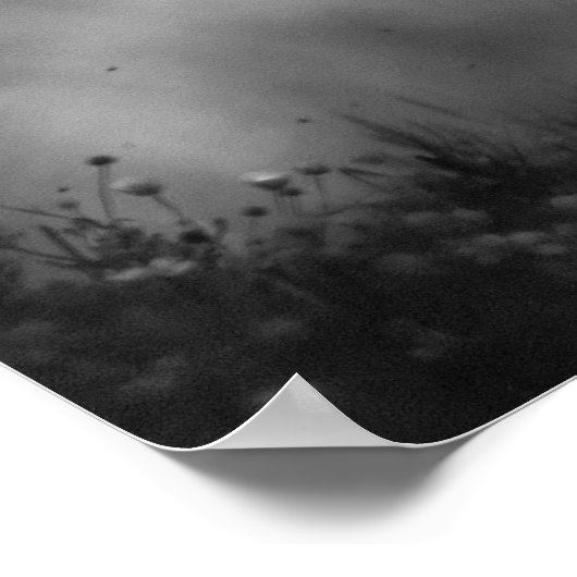 Zwart wit Motivatie paard leeft zonder grenzen Poster (Hoek)