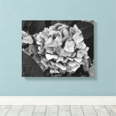 Zwart-wit muurkunst Hydrangea Canvas Afdruk (Insitu (Houten vloer))