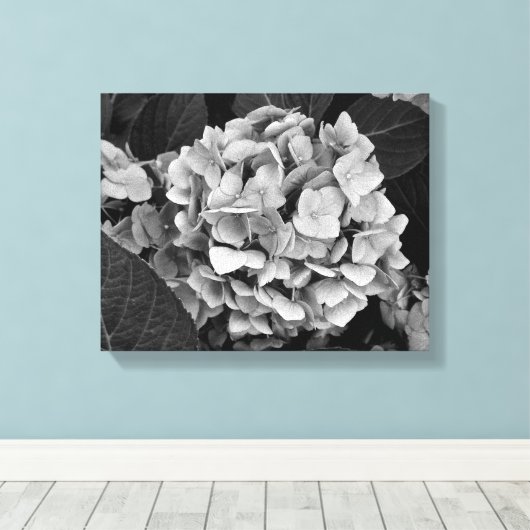 Zwart-wit muurkunst Hydrangea Canvas Afdruk (Insitu (Houten vloer))