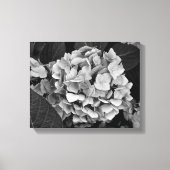 Zwart-wit muurkunst Hydrangea Canvas Afdruk (Voorkant)