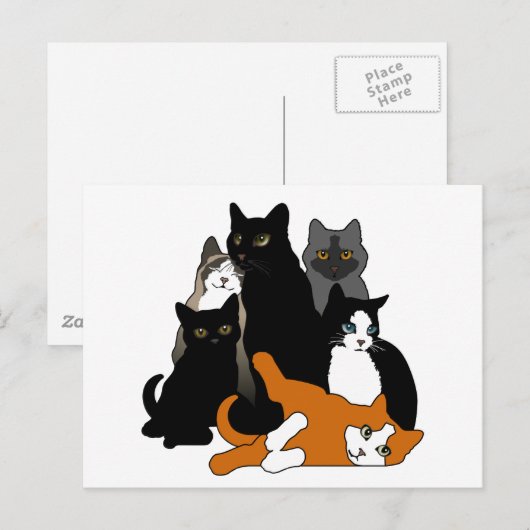 Zwart wit "n" wit "n" grijs "n" Oranje katten Briefkaart (Voorkant / Achterkant)