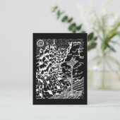 Zwart-wit Natuur Tekening Briefkaart (Staand voorkant)