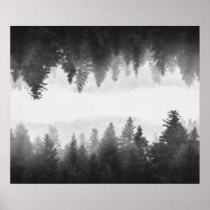 Zwart-wit nevelig gespiegeld bos poster
