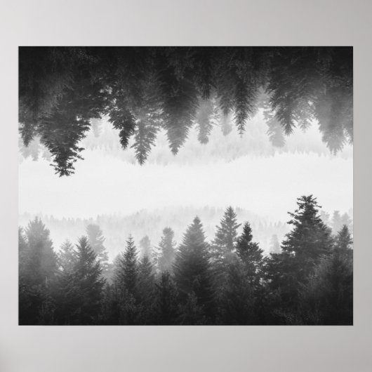 Zwart-wit nevelig gespiegeld bos poster (Voorkant)