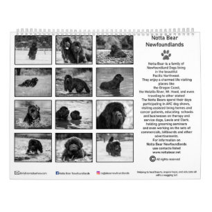 Zwart-wit newfoundlander fotografie kalender