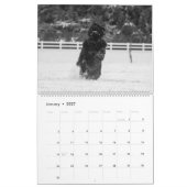Zwart-wit newfoundlander fotografie kalender (Jan 2027)