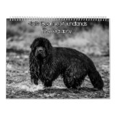 Zwart-wit newfoundlander fotografie kalender (Hoes)