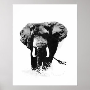 Zwart-wit olifant posters prints
