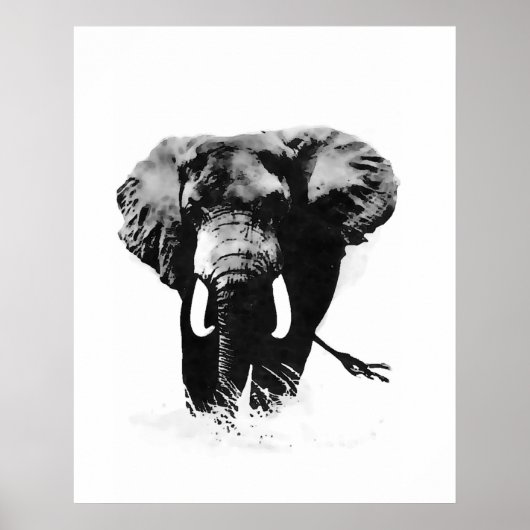Zwart-wit olifant posters prints (Voorkant)